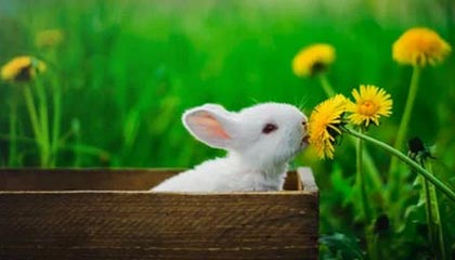 完美电竞-&amp;quot;我们要创造新的历史!&amp;quot; 胡荷韬决赛前发布会表态